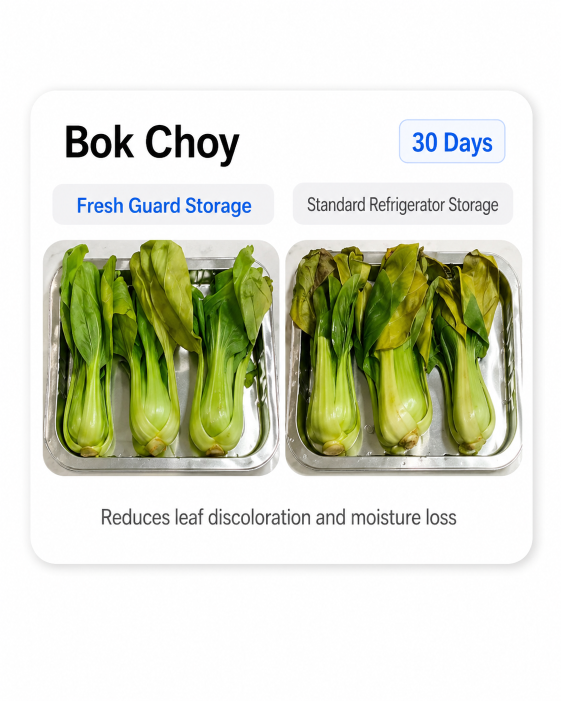 Bok Choy stored with Fresh Guard versus a standard refrigerator after 30 Days