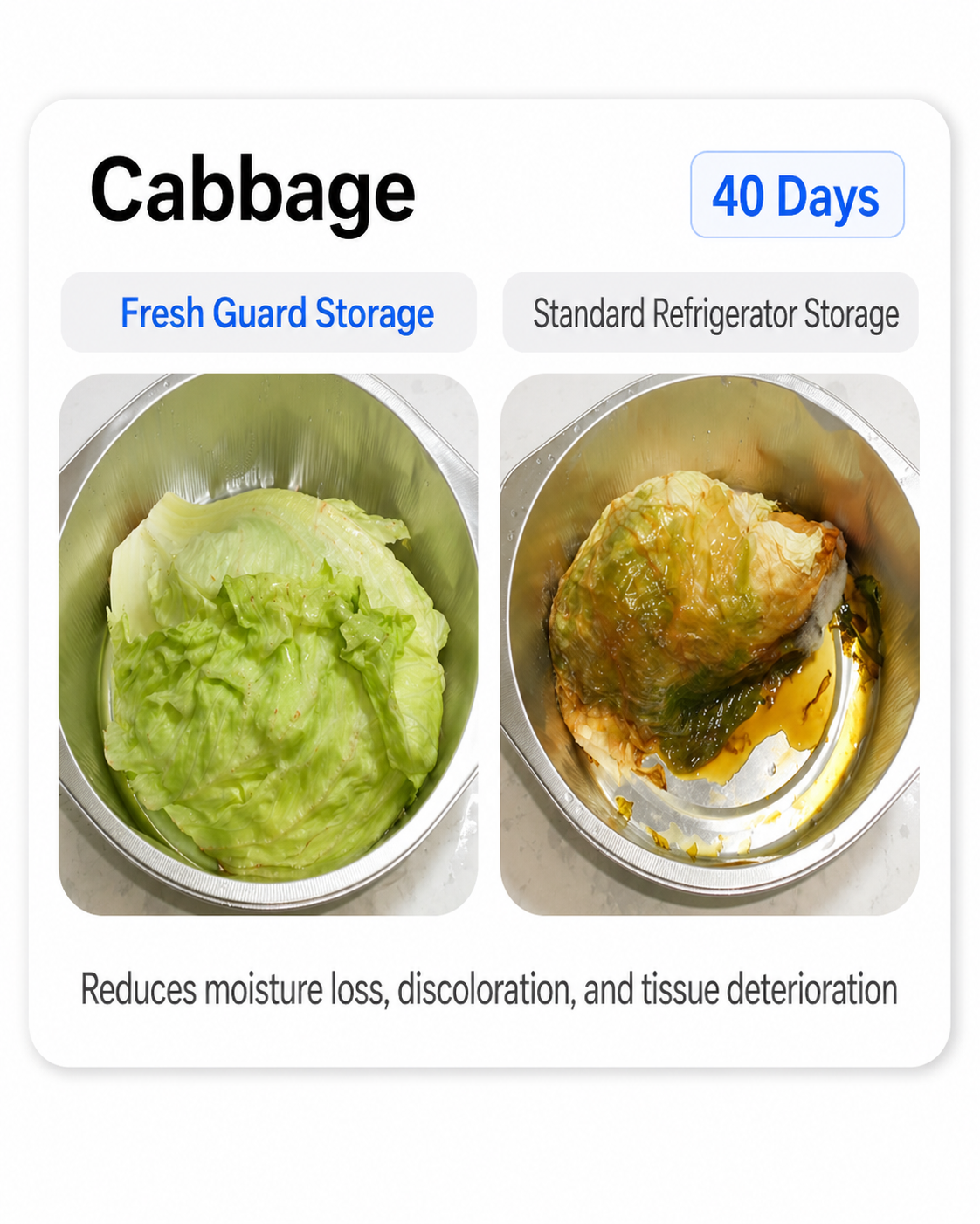 Cabbage stored with Fresh Guard versus a standard refrigerator after 40 Days