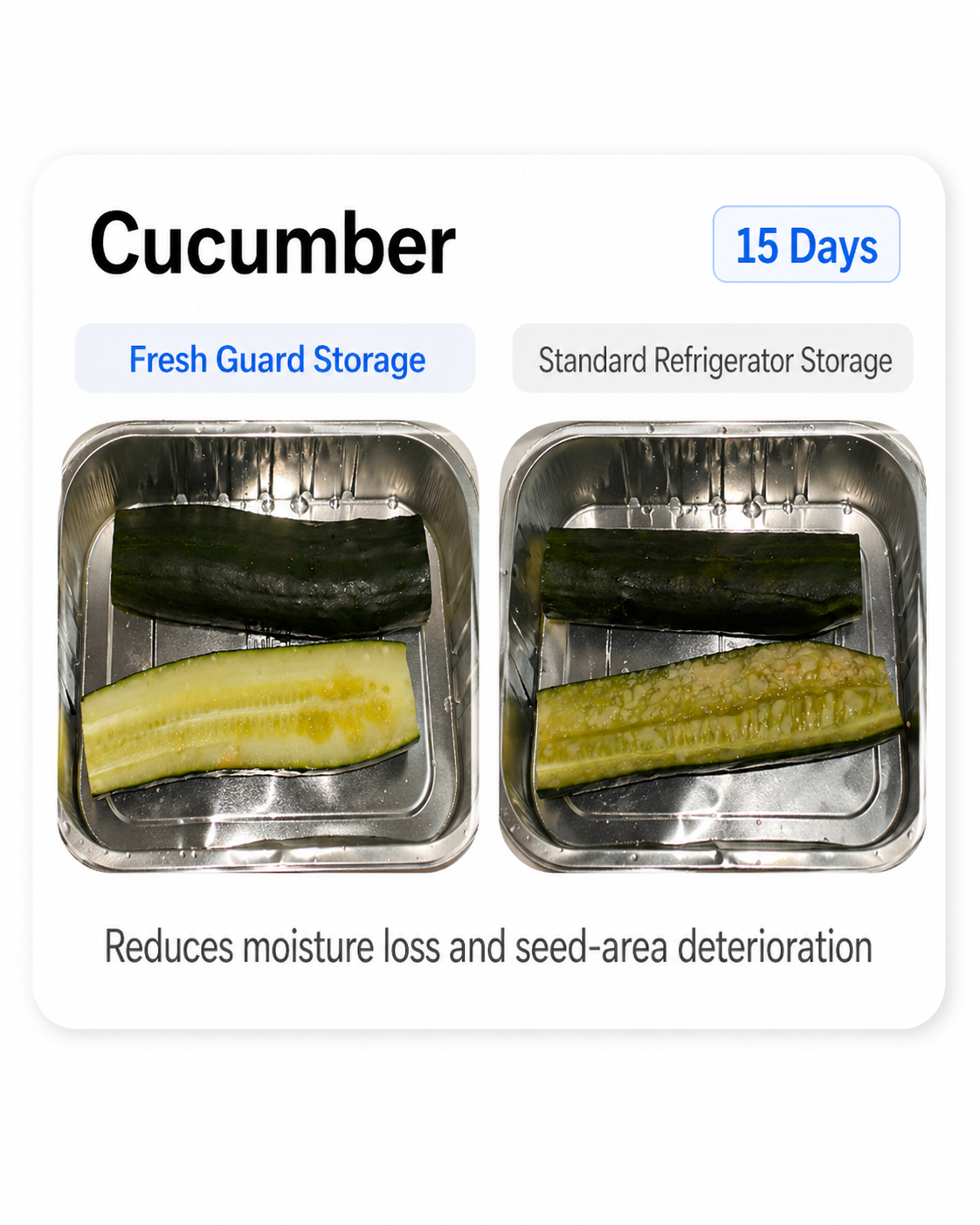 Cucumber stored with Fresh Guard versus a standard refrigerator after 15 Days